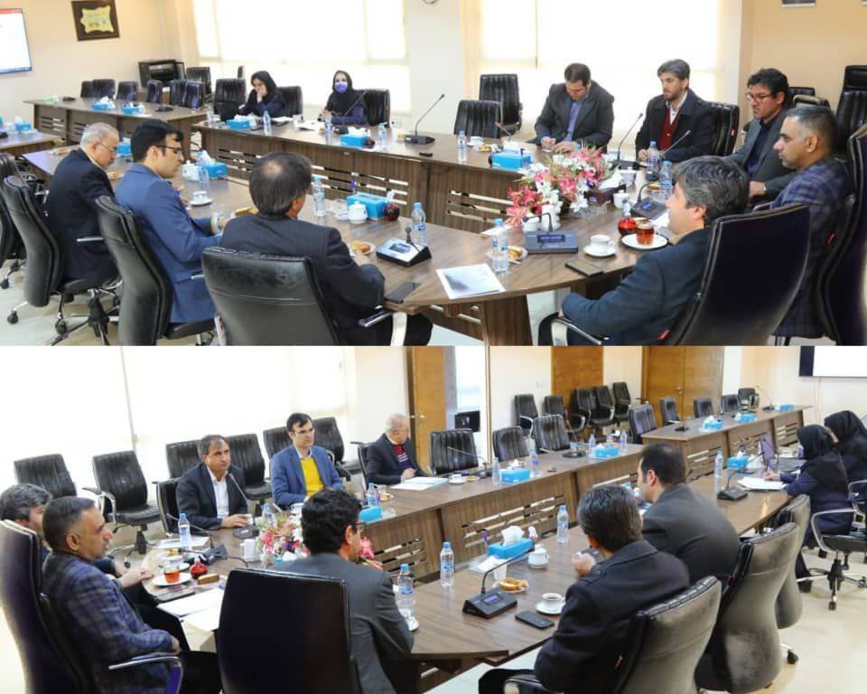 بررسی موضوع توسعه تولید مرغ آرین در استان