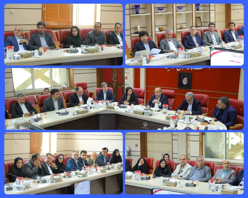 برگزاری نود و ششمین جلسه شورای گفت و گوی دولت و بخش خصوصی استان عکس کمکی شماره3